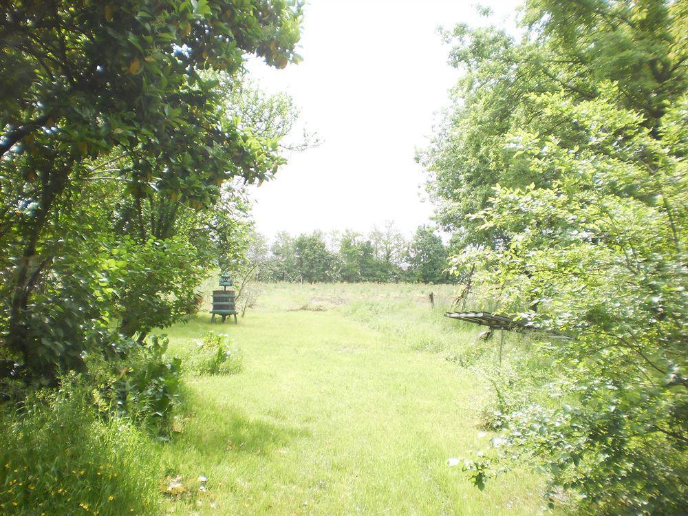 Green Fields Padua Exteriör bild