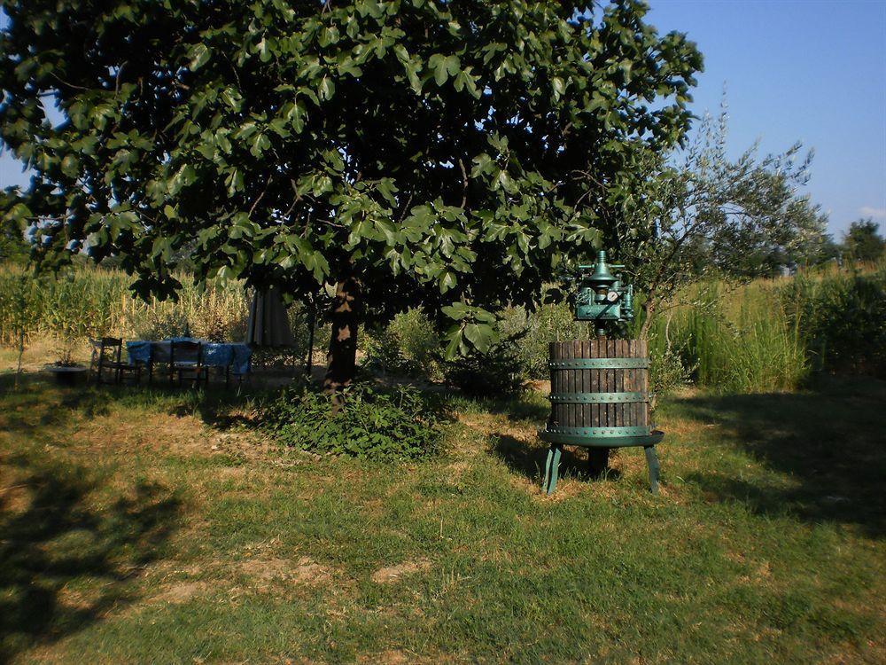 Green Fields Padua Exteriör bild